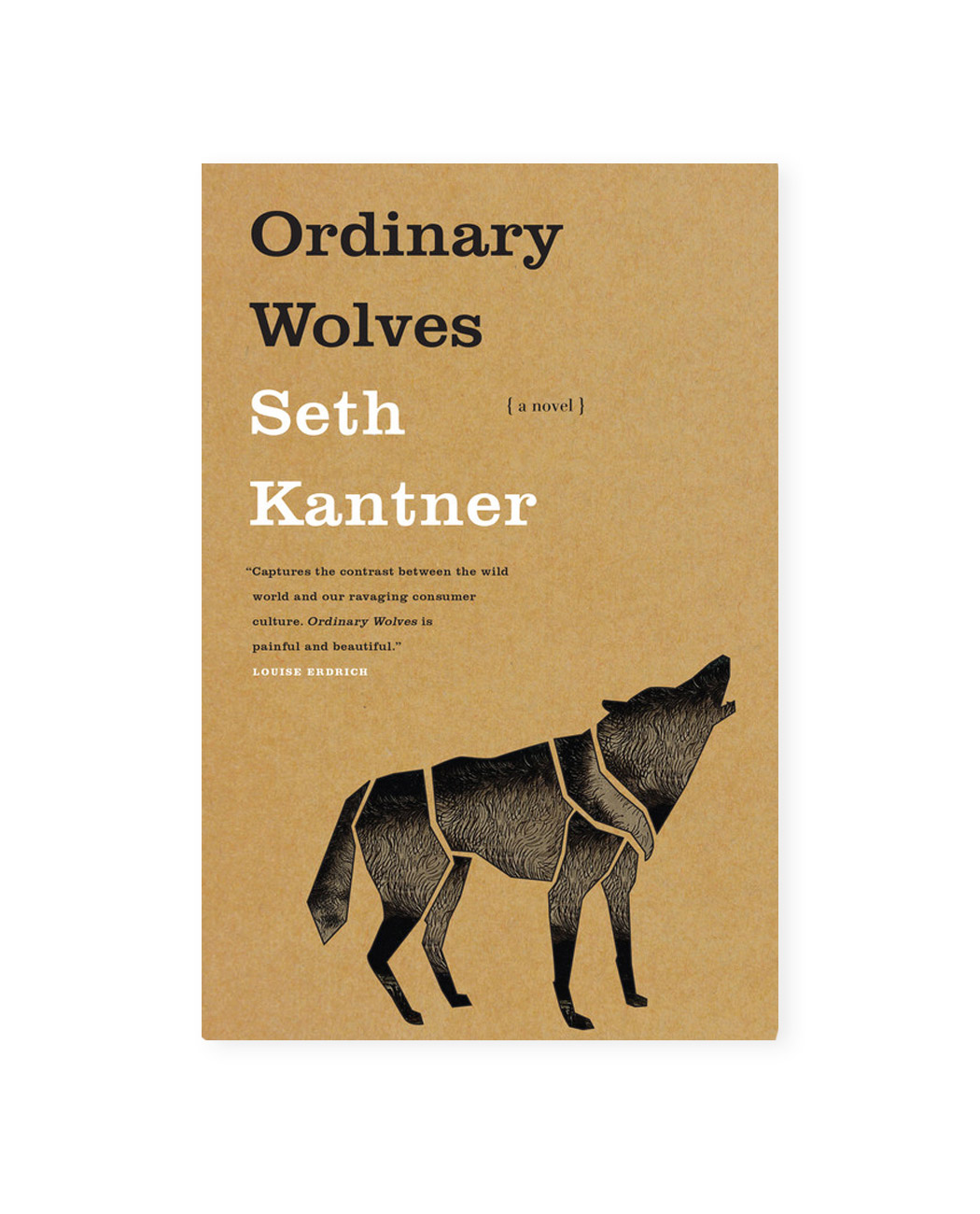 Irony-la-croix-vibecession