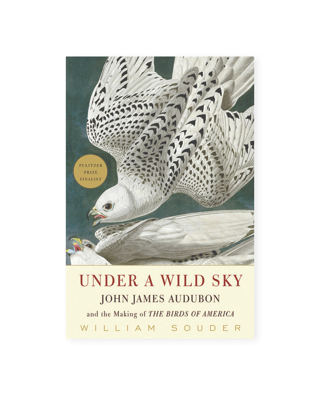 wild_sky_pulitzer_finale